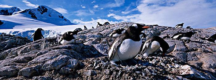 乐队经理模拟游戏《Rockbeasts》狂野实机首次曝光！游戏将于2026推出