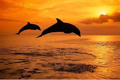 Fami通新一周销量榜 《我的世界》登顶