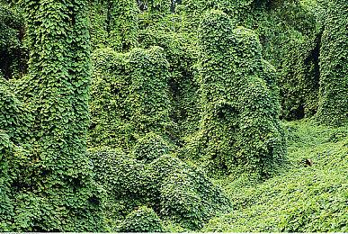 《Cookie Cutter》上架steam 机器人美少女动作大冒险